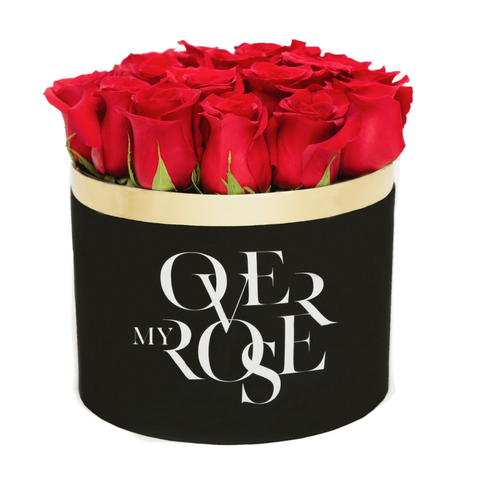 red rose myoverrose