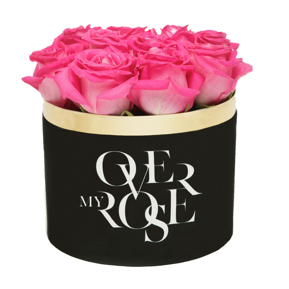 pink rose myoverrose